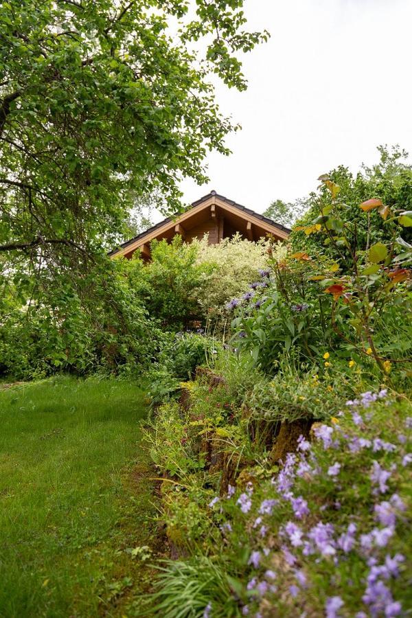 Ferienhaus Weitblick Altenbrak Zewnętrze zdjęcie